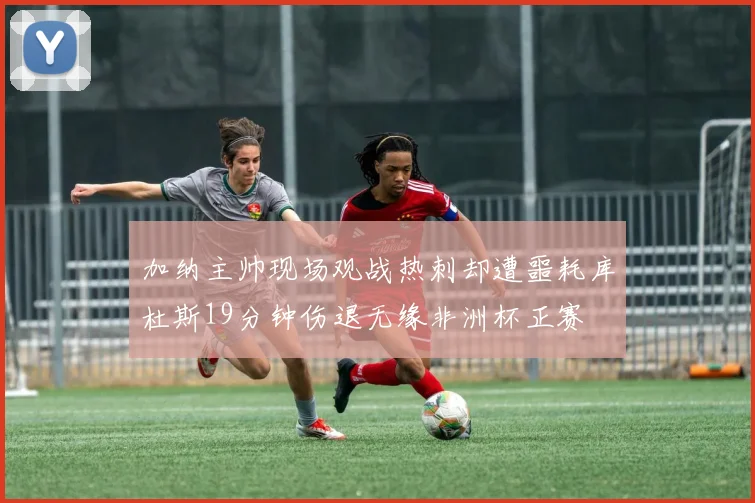 加纳主帅现场观战热刺却遭噩耗库杜斯19分钟伤退无缘非洲杯正赛